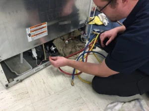 تعمیر یخچال در فرمانیه تهران