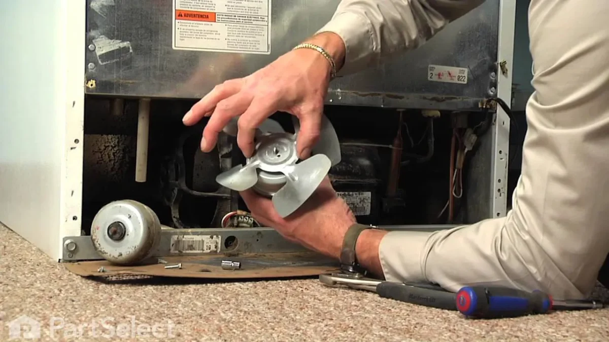 تعویض فن و موتور یخچال با گارانتی قطعات اصلی 1 تعویض فن و موتور یخچال