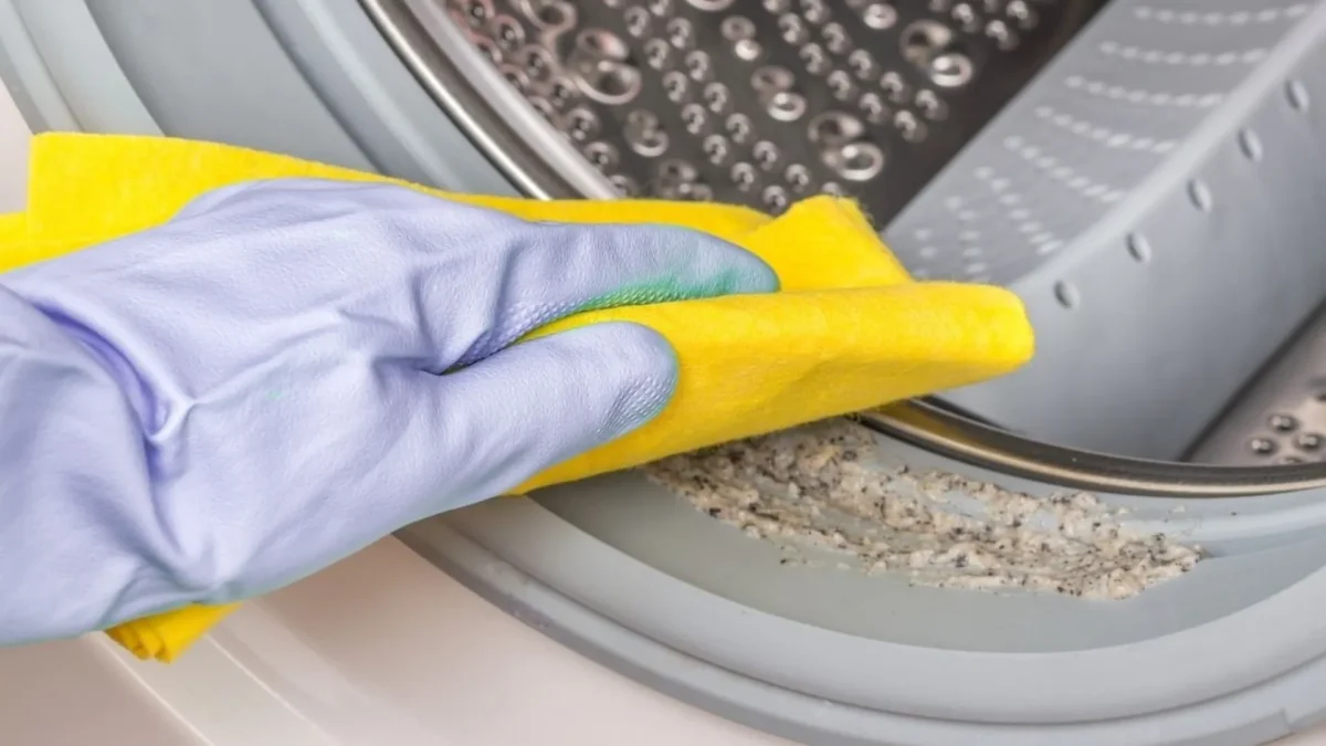 جرم گیری و رسوب زدایی ماشین لباسشویی